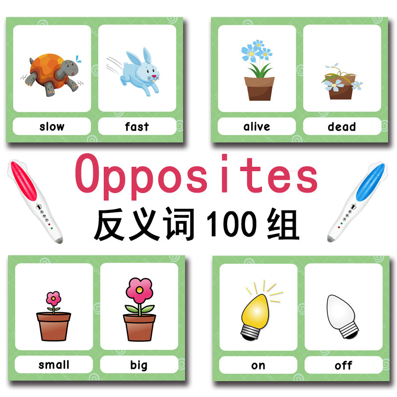 The 100 Groups Opposites Flash - огляд і ціна Baby Products China